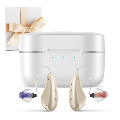 Alat bantu dengar OTC bersertifikat CE 4 Program Ringan hingga Berat Penghilang Kerugian Pendengaran Amplifier Digital